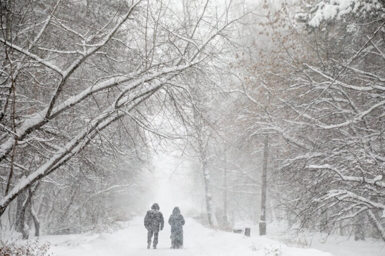    Фото: Агентство «Москва» Александра Горохова