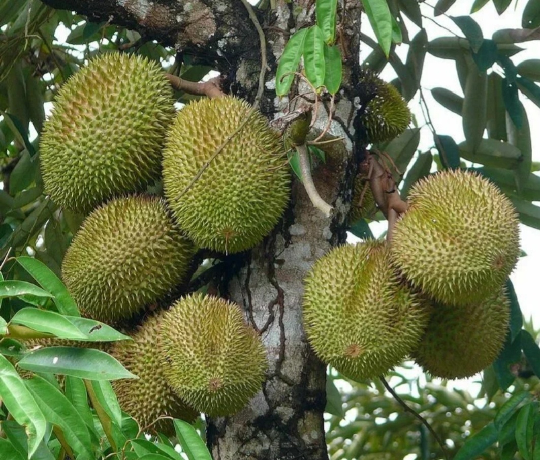 Сможете понять кто тут кому сын и дочь?