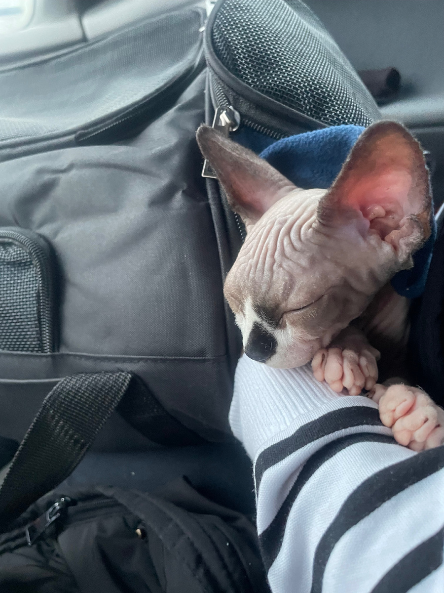 Фото из архива 