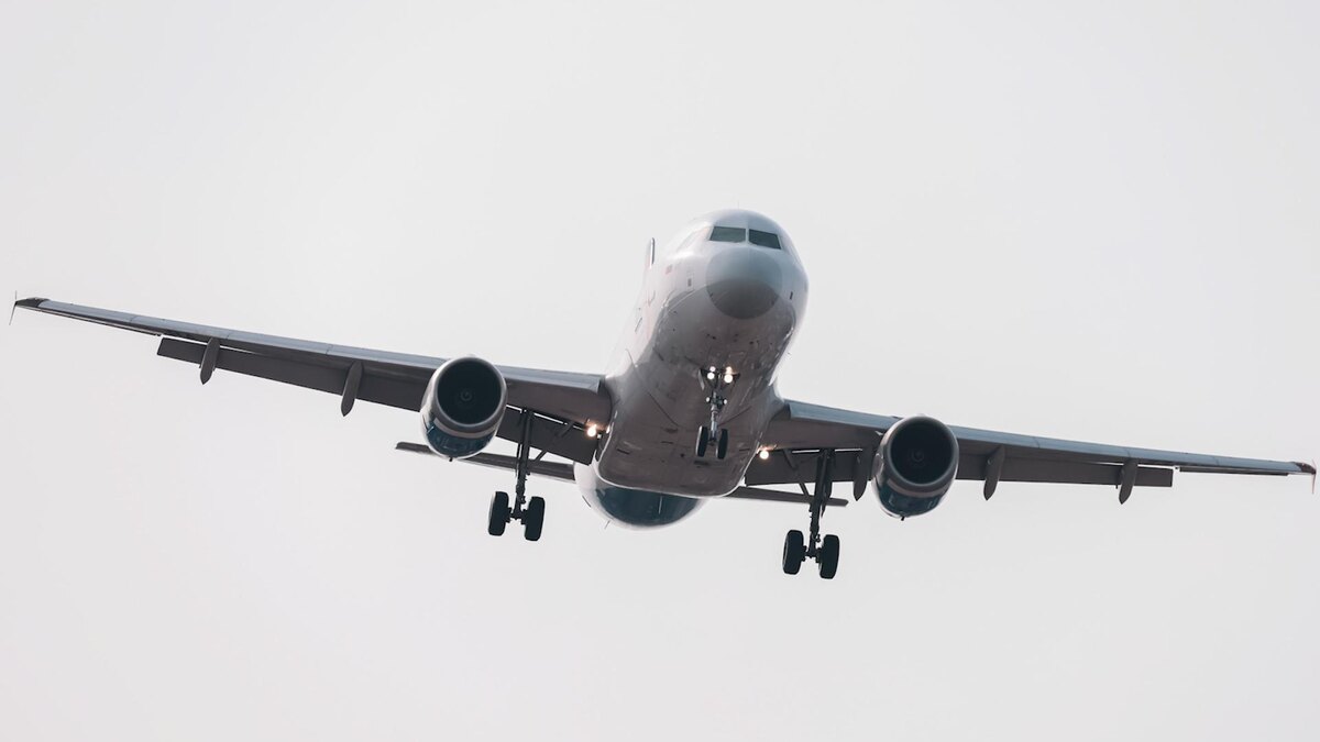    Фото: Roman Naumov/globallookpress.com