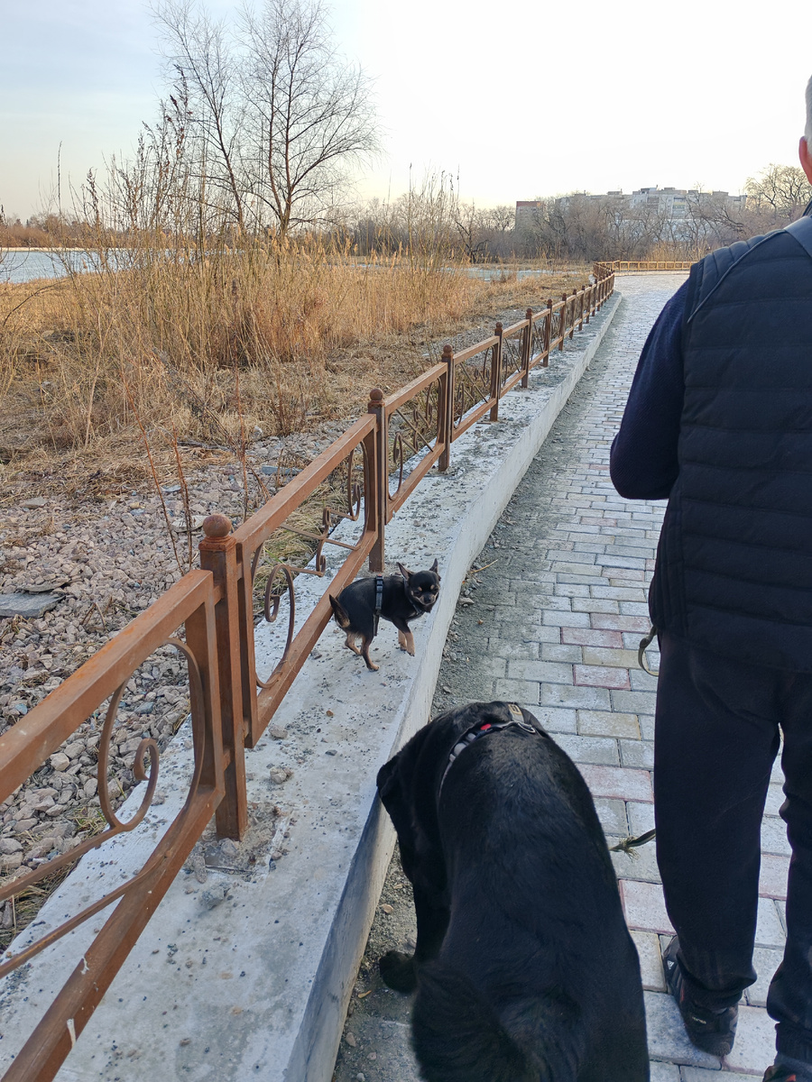 Позировать отказались.