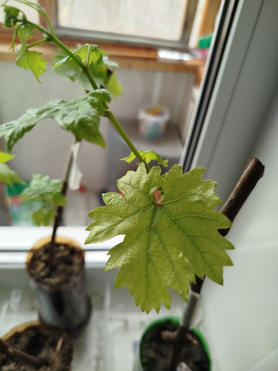 Фото подписчика 