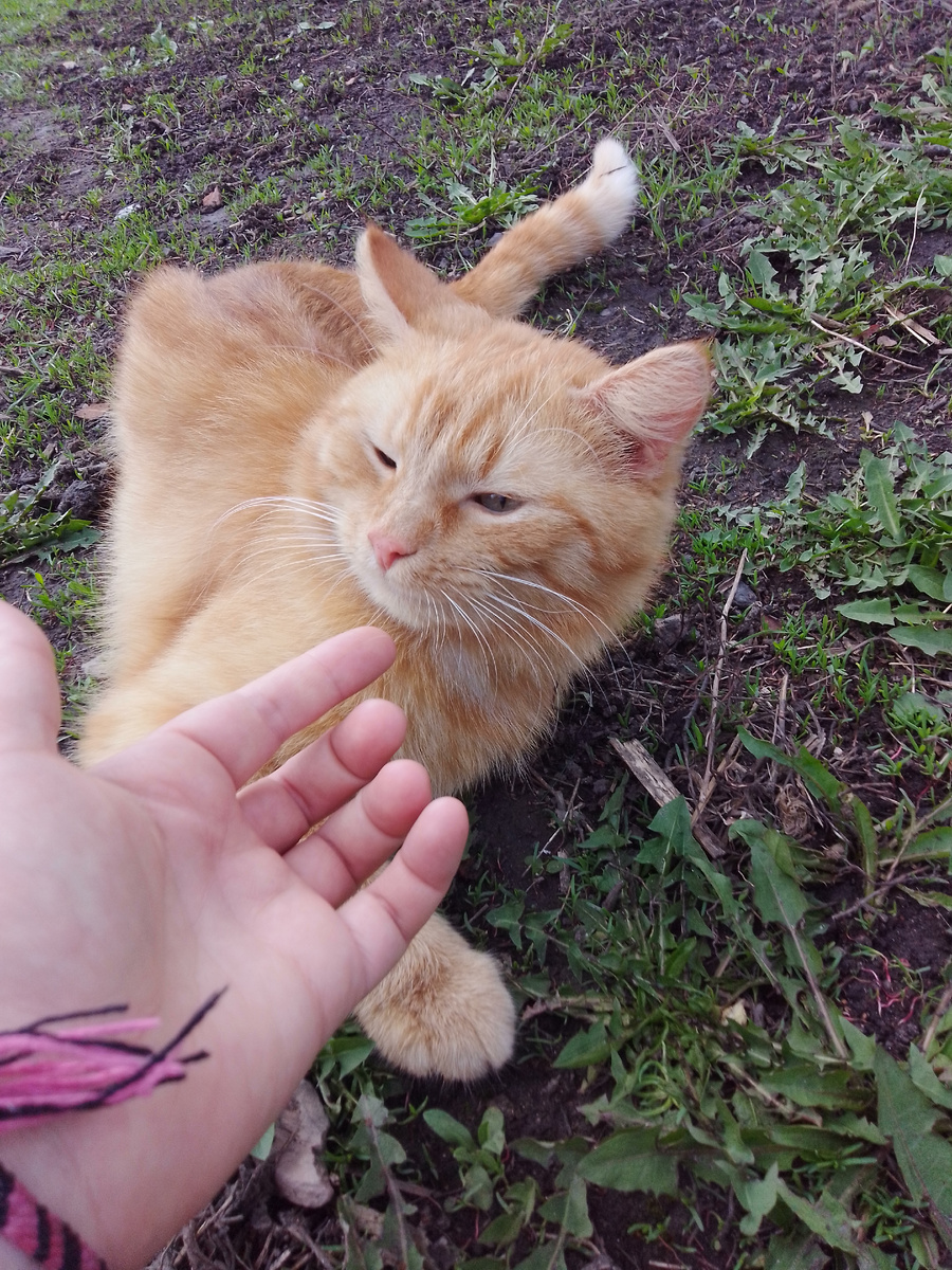 А чё морда такая злая? Предъявить что-то хочешь?