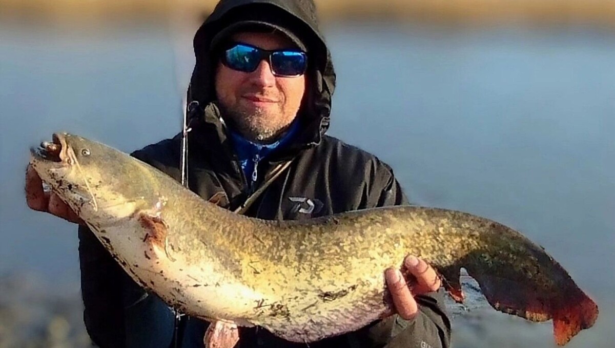     Источник: ВКонтакте Виталий Шульга