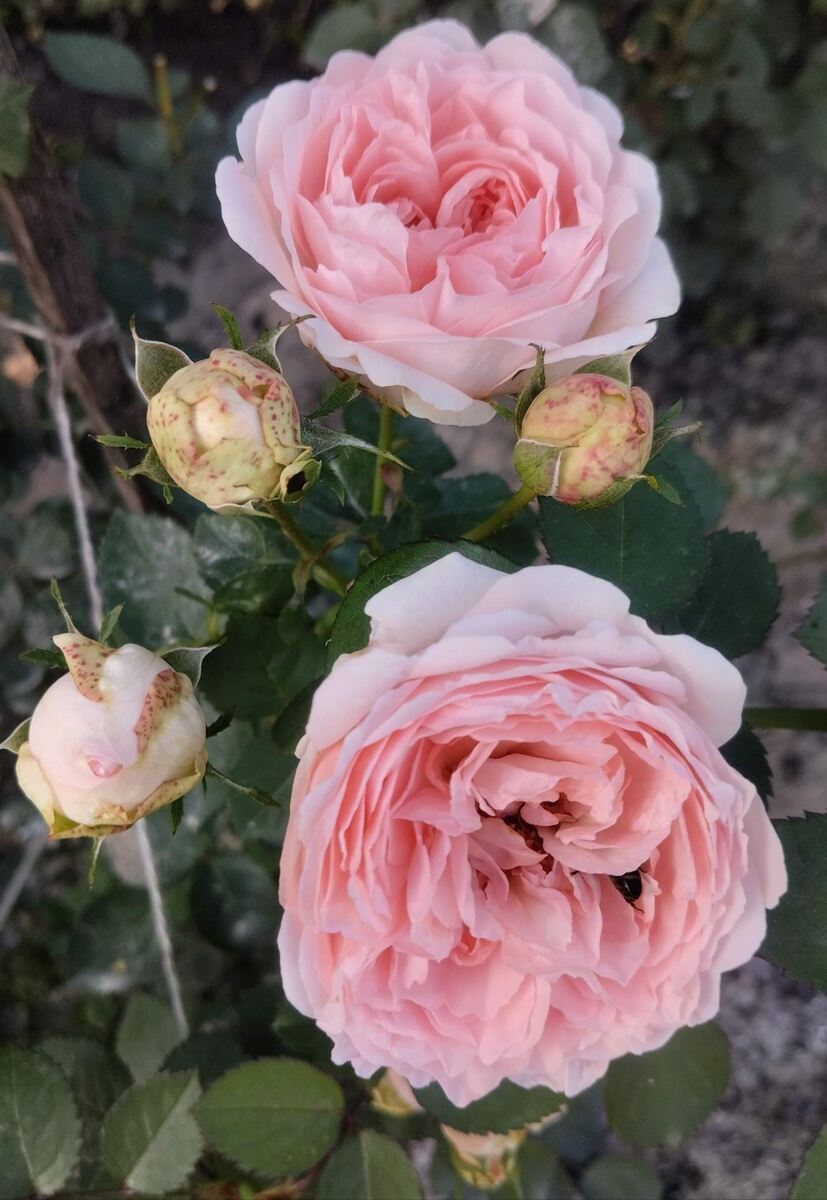 фото Татьяны