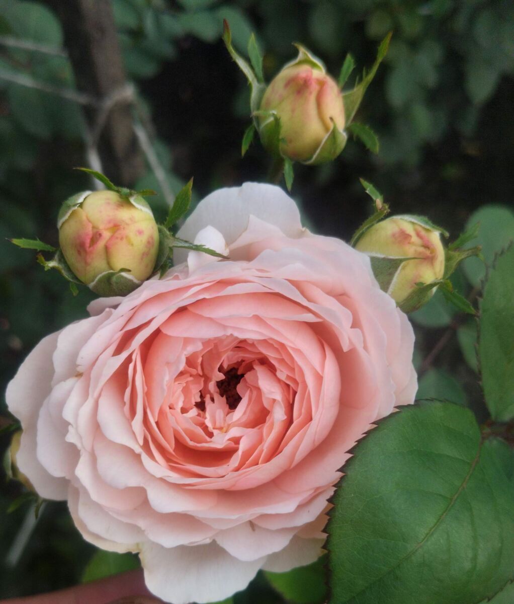 фото Татьяны