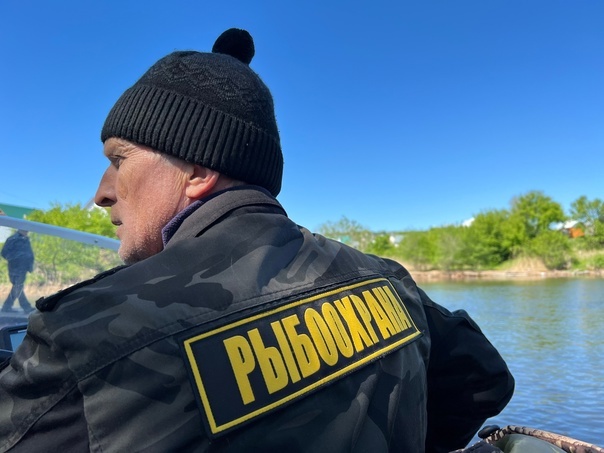 Фото просто для оформления заметки...