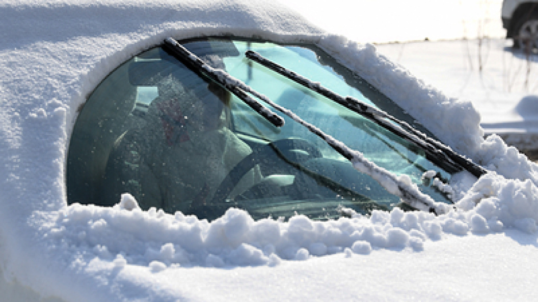    Фото: Ilya Moskovets/URA.RU/Globallookpress