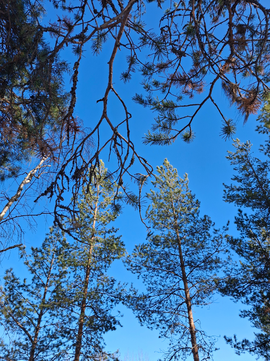 Много красоты было в этом месяце...💚