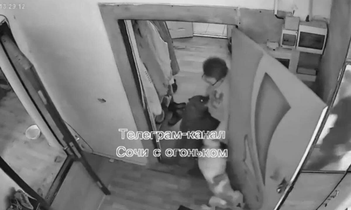    Фото t.me/sochitop1