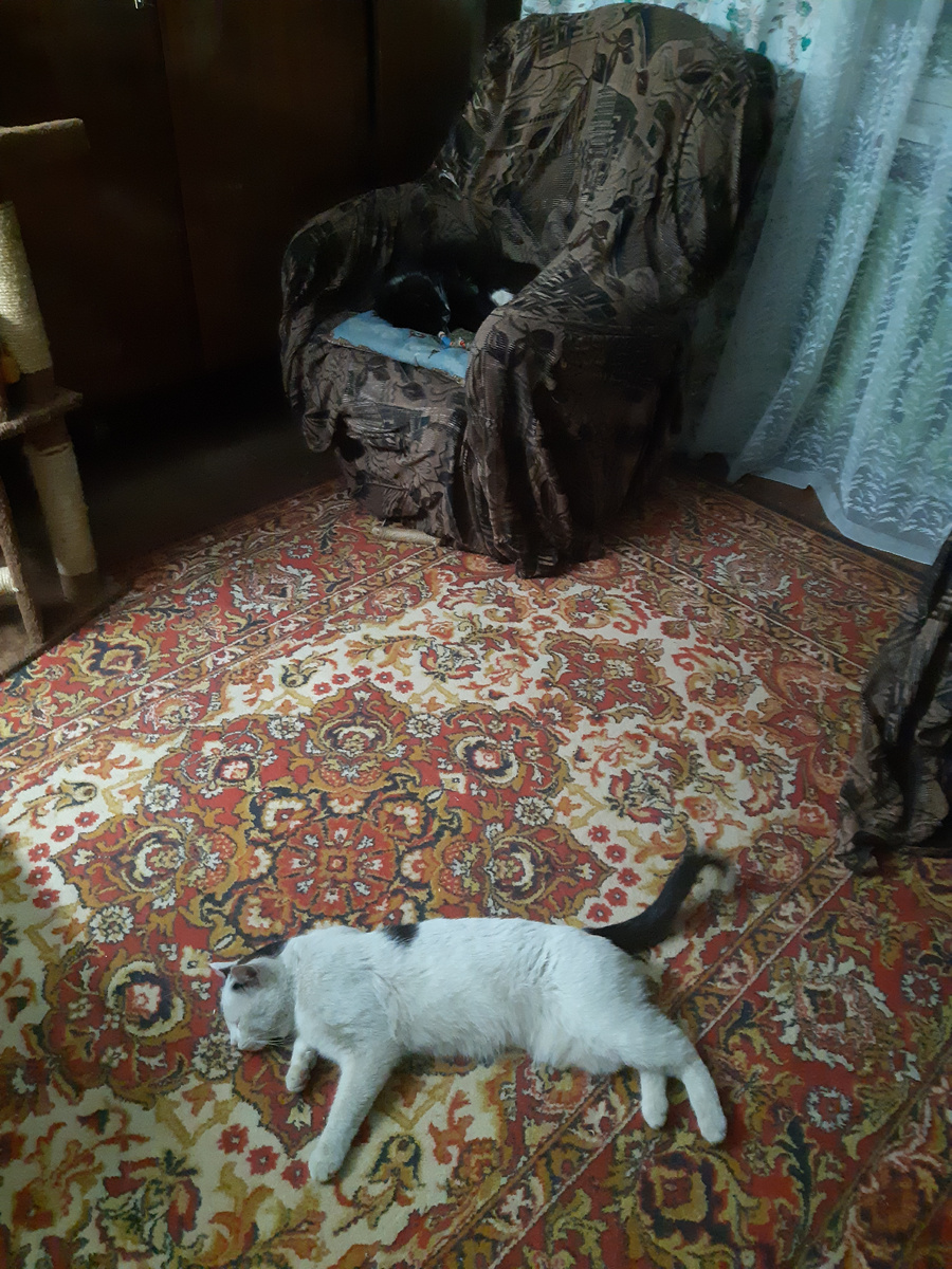 Верный друг
