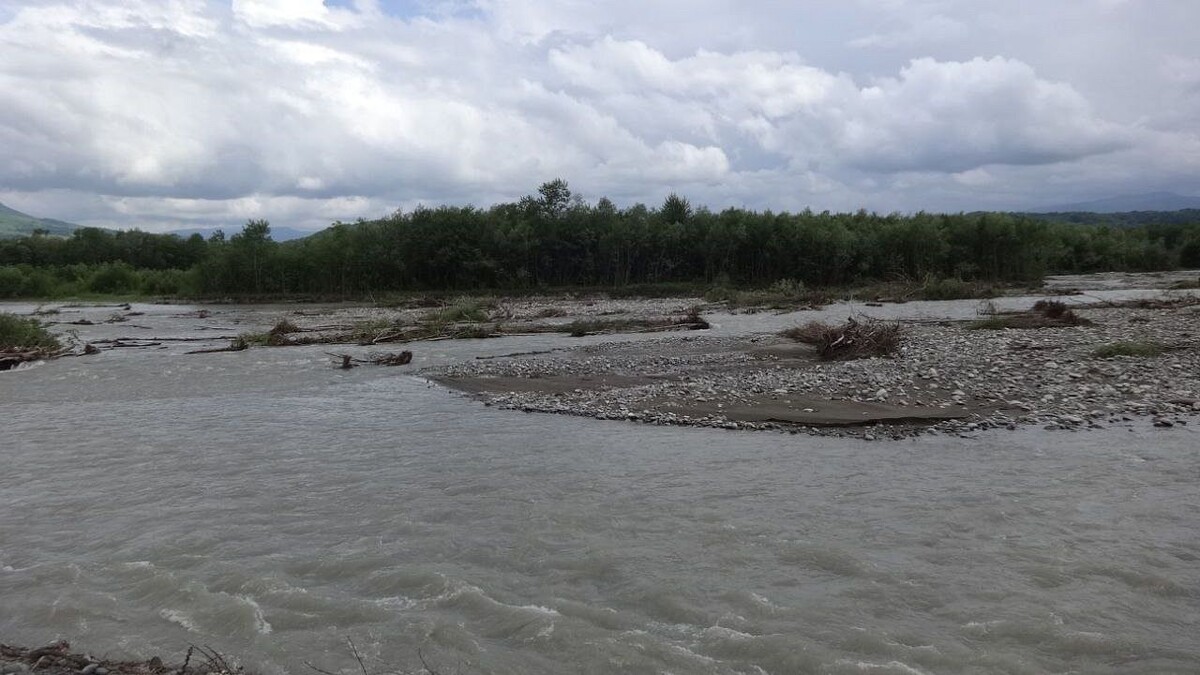    Фото: архив телеканала «Краснодар»