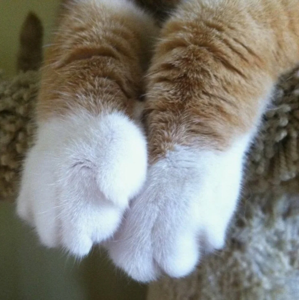 Фото из интернет