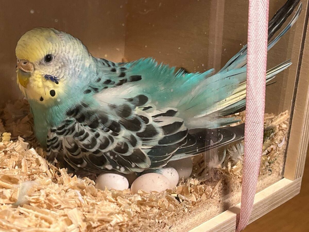 Фото предоставлено Эльмирой Гайнутдиновой