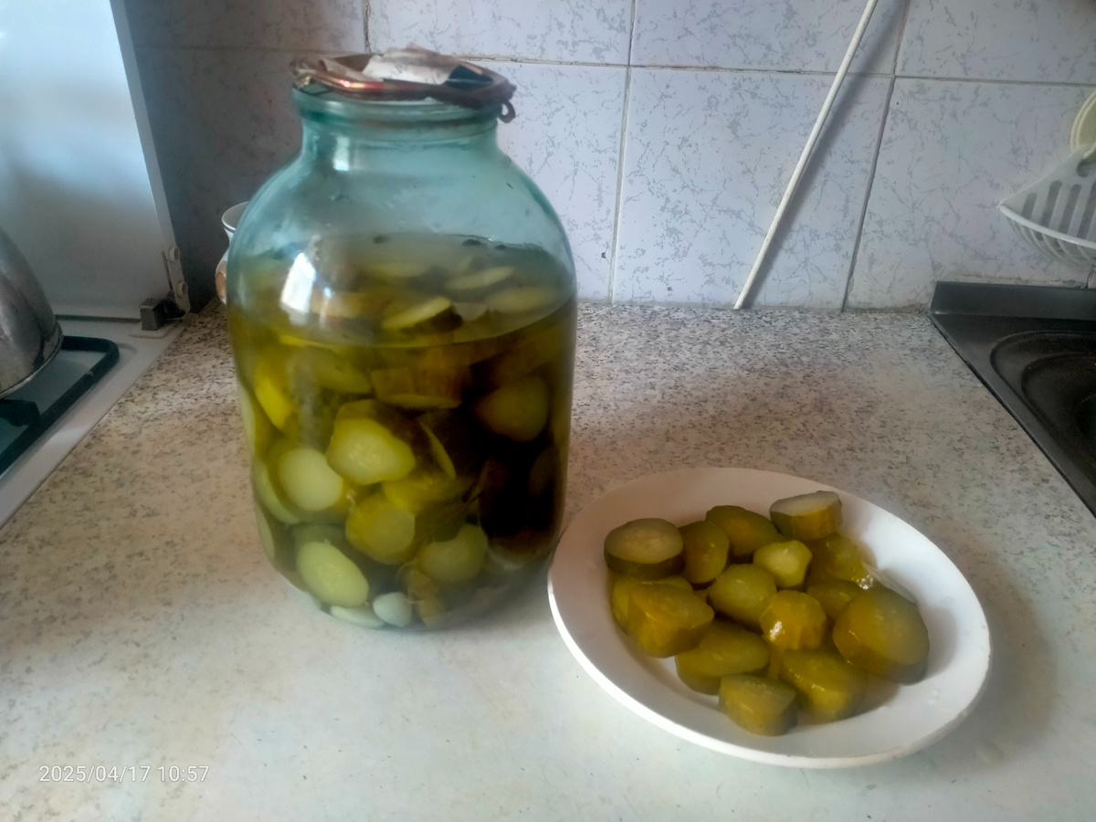 Огурцы с кориандром. Фотография автора 