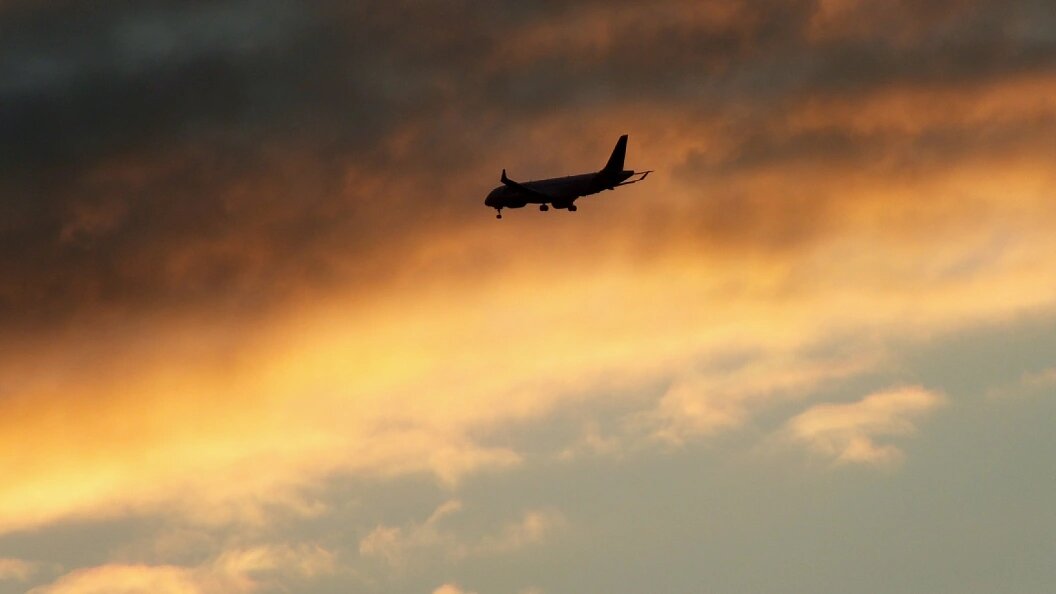    виктор лисицын/Globallookpress