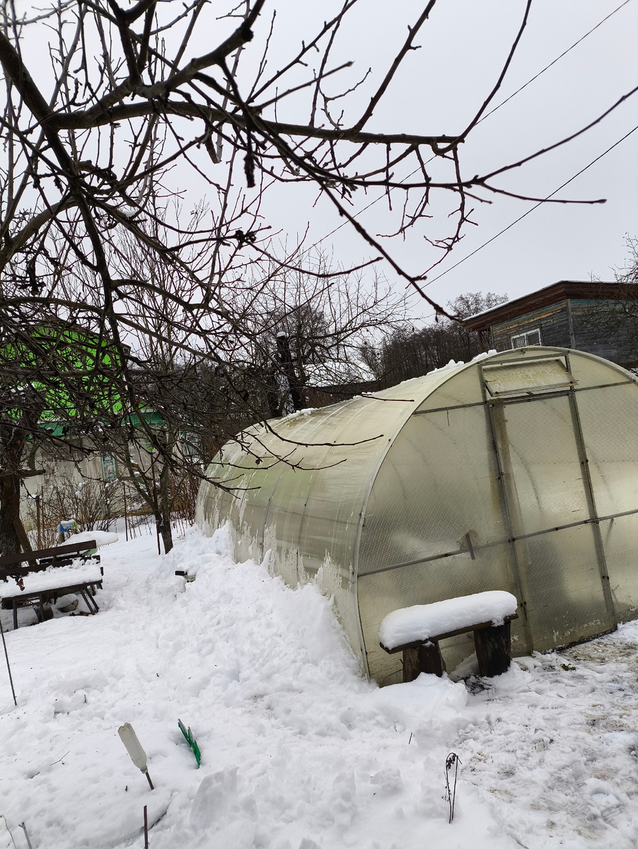 Теплица этой зимой 