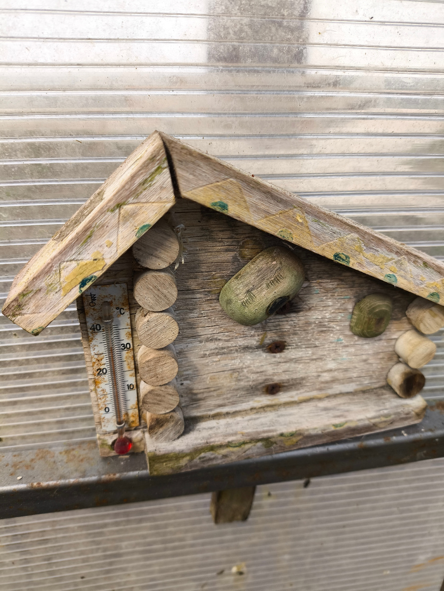 +32° в теплице 