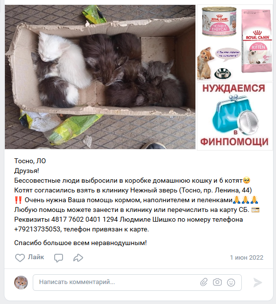 Общедоступный источник https://vk.com/wall-187218720_21268