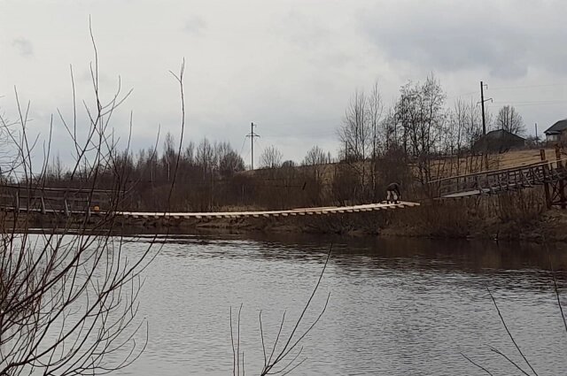    Фото: Из архива/ МБУ «Благоустройство»