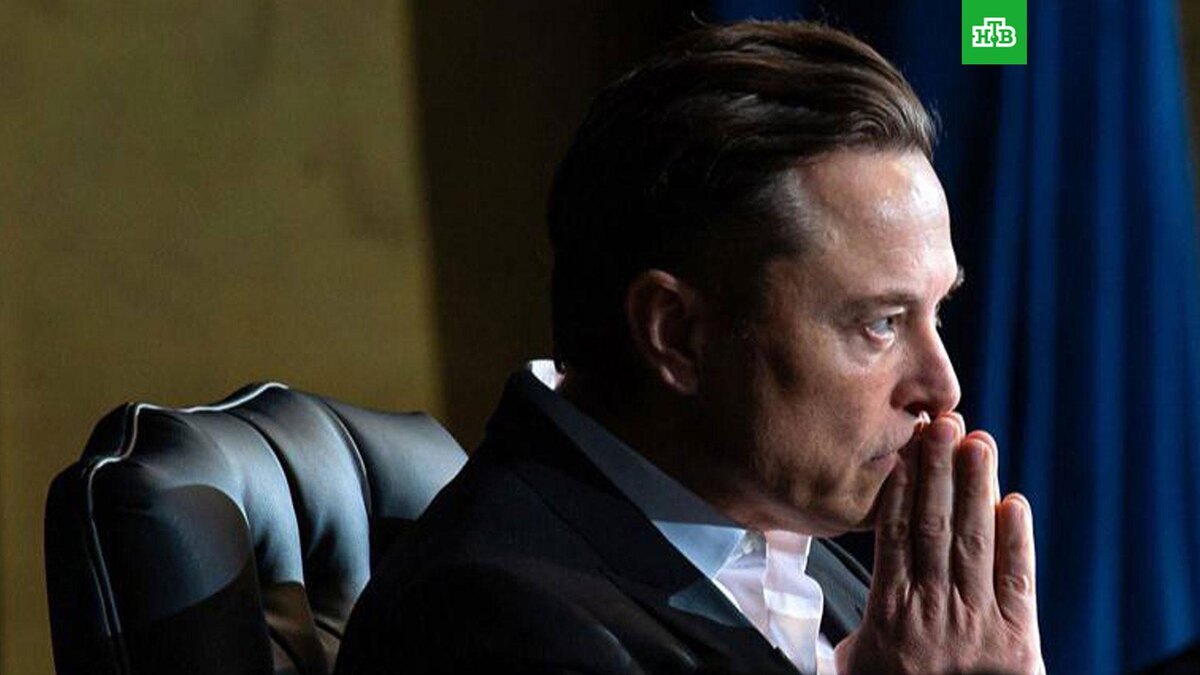    Фото: @elonmusk_ru / t.me