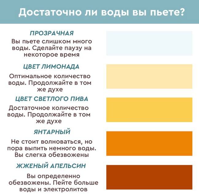 Цвет мочи и водный баланс