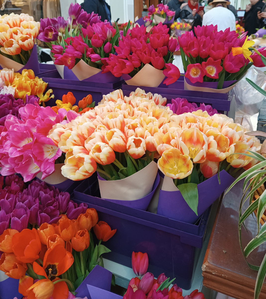 Цветы просто для настроения