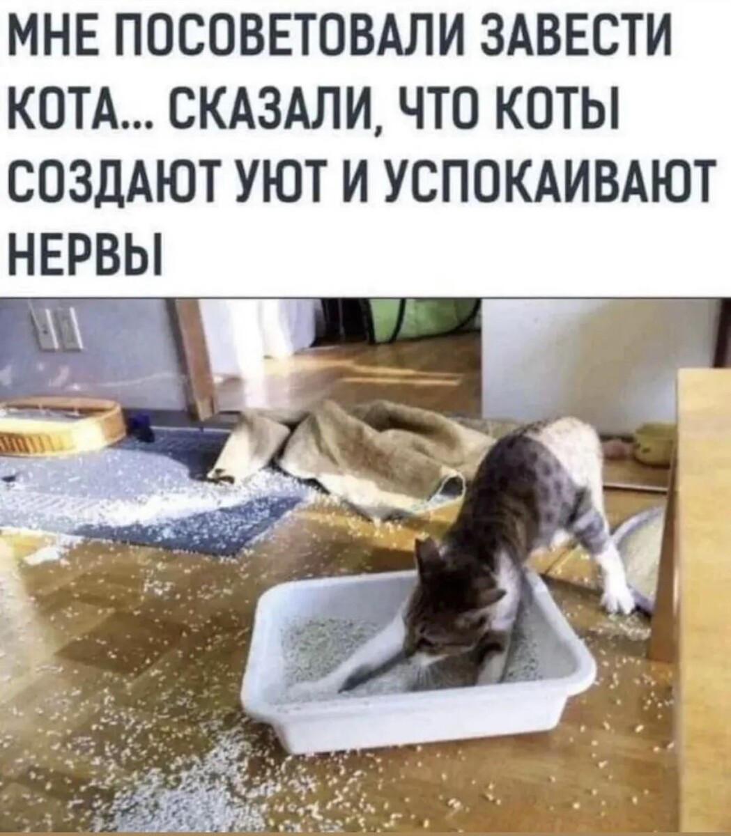 источник Яндекс-картинки