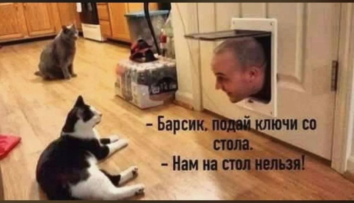 источник Яндекс-картинки