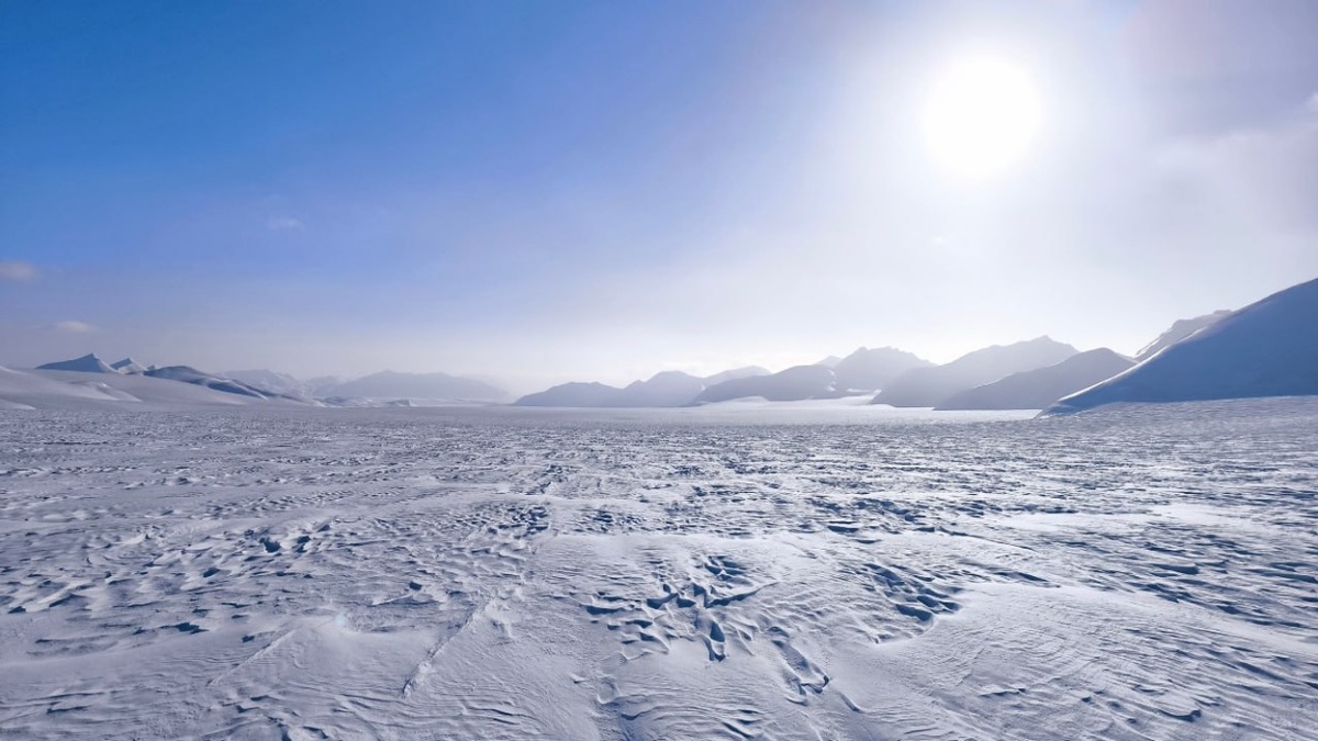    Фото: vm.ru Георгий