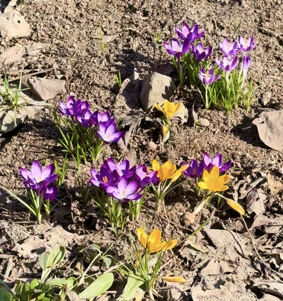 Фото автора .