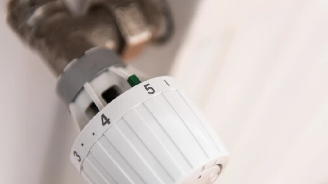    Фото: Silas Stein/Globallookpress