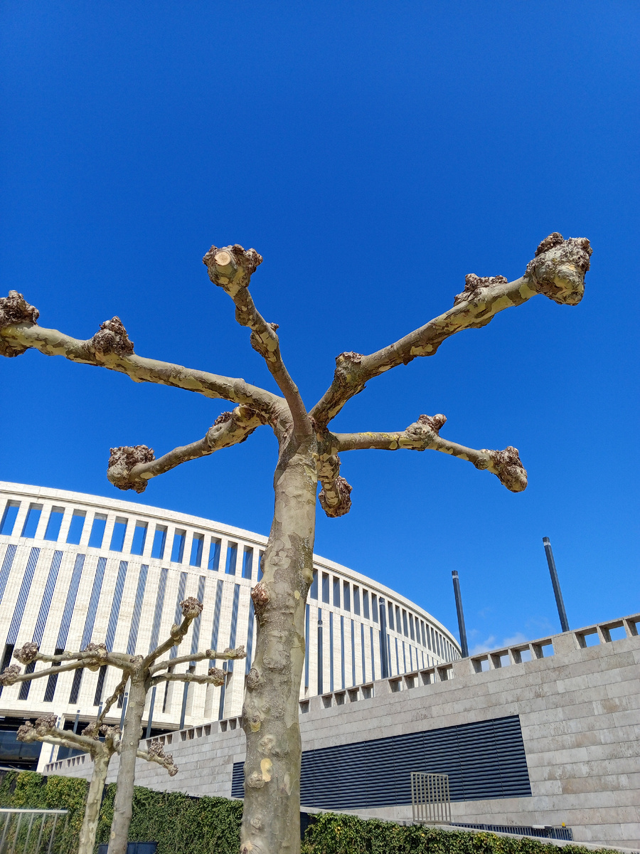 Парк Галицкого в городе Краснодаре