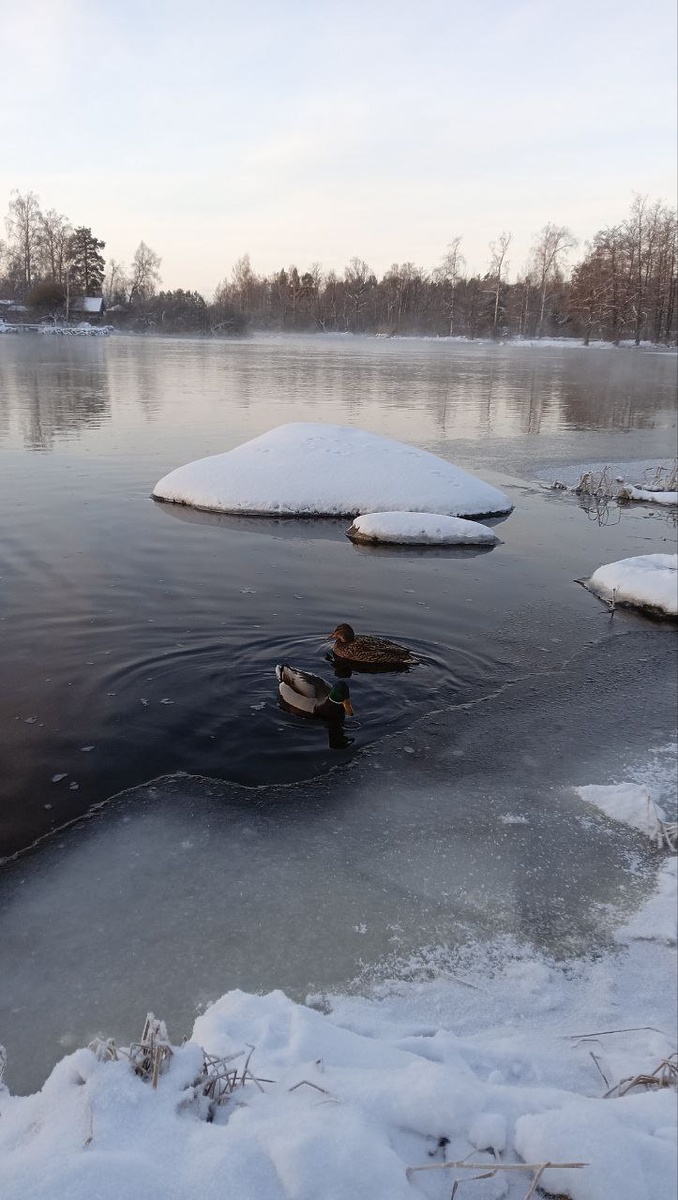 Возле крепости Корела. 