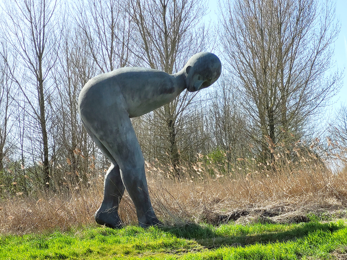 "De Noorderling". Фото автора.