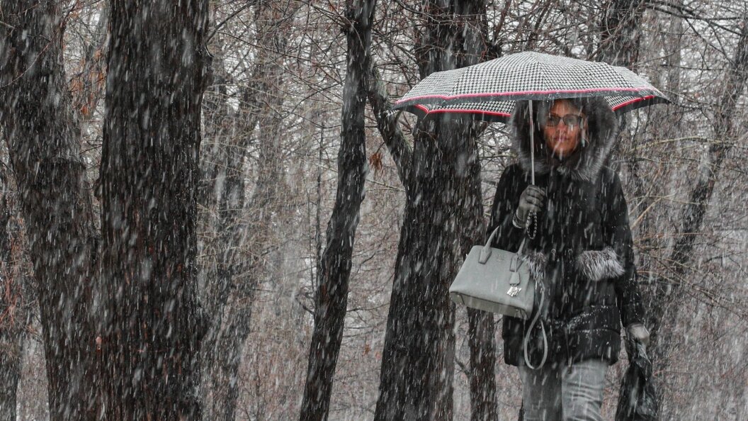    Фото: Bulkin Sergey/Globallookpress