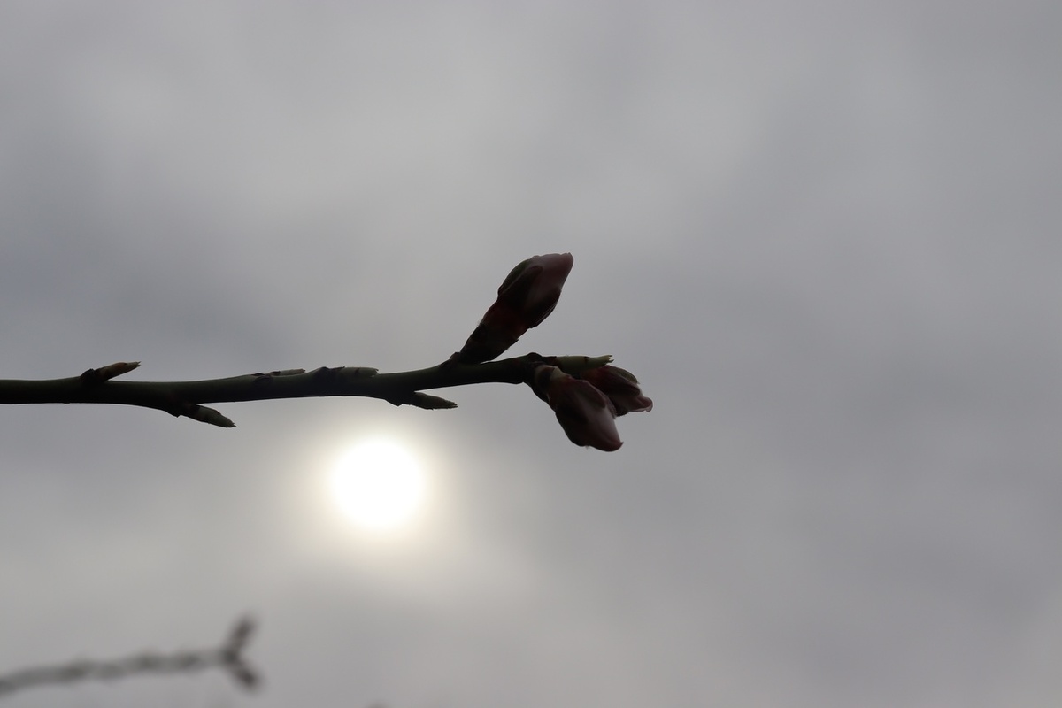 Ориби Каммпирр - Искры в небе, свет в глазах... © Copyright: Ориби Каммпирр
