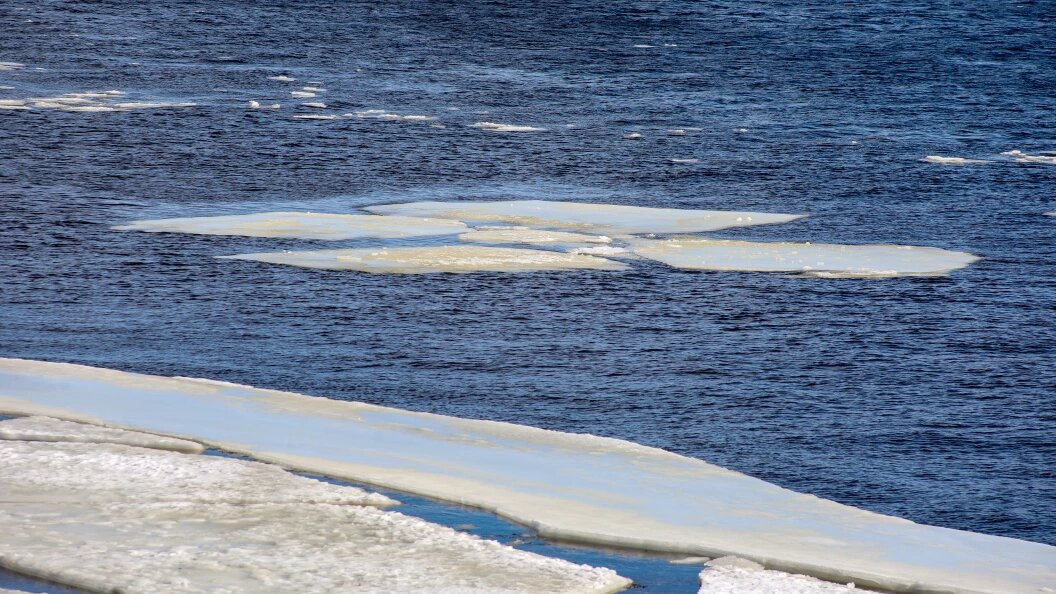    Elena Mayorova/Global Look Press