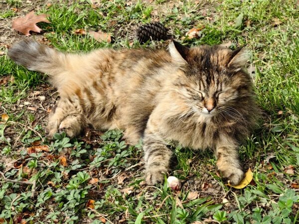    Фото: Никита Чудин. UG.RU