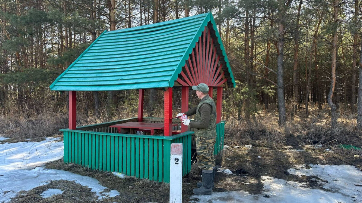 Фото: пресс-служба Минлесхоза РТ