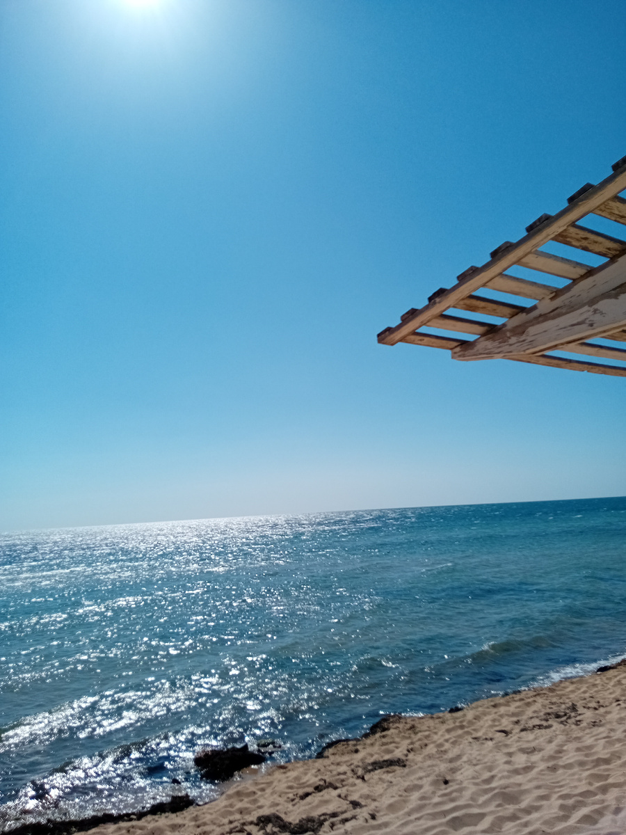 Авторское фото.