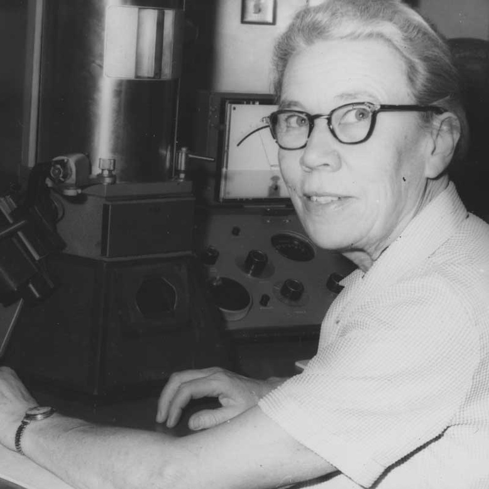 Взято из открытых источников