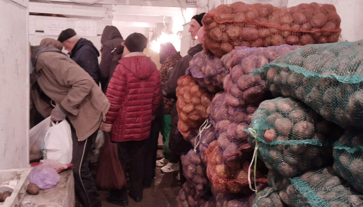 Огородники в очереди за семенным картофелем.