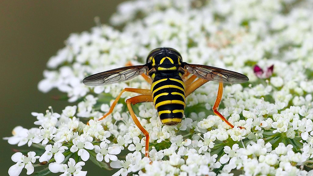 Причём часть из них — очень правдоподобно.