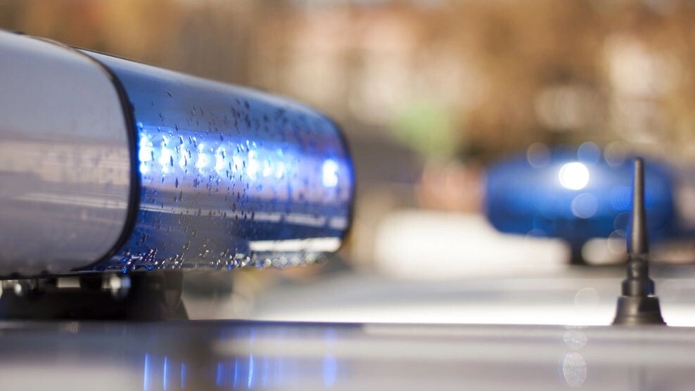    Фото: Siarhei Kuranets/Shutterstock/Fotodom