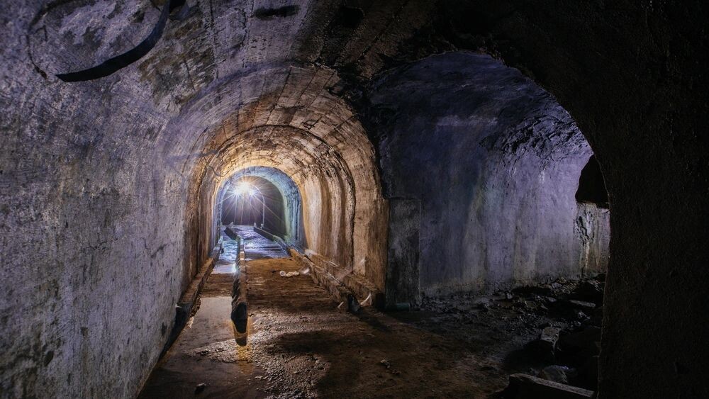    Фото: Vladimir Mulder/Shutterstock/Fotodom