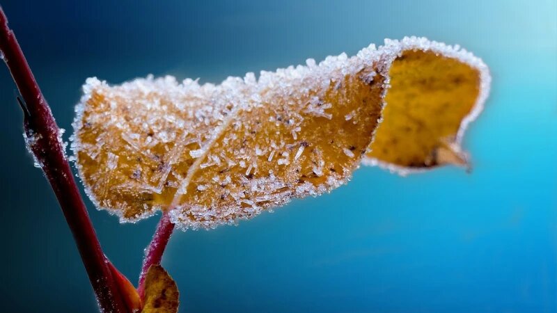     Зима, мороз, холод. CC0