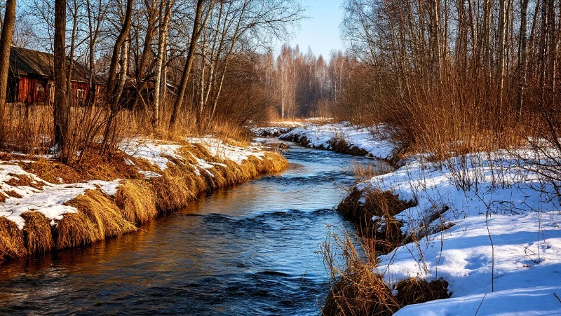 Изображение создано с помощью нейросети «Шедеврум»  