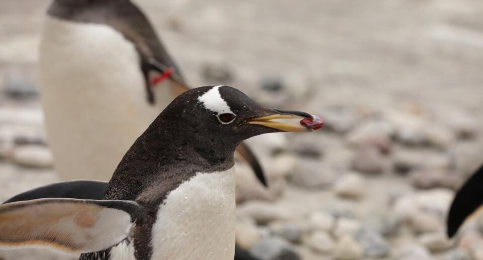    Cover Images/Keystone Press Agency / www.globallookpress.com