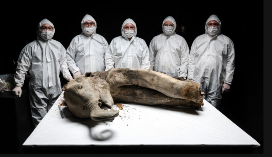 фото: Вадим Скрябин/ ТАСС